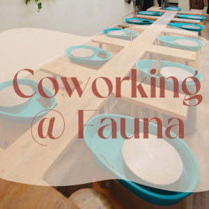 Coworking space - Thursdays 10am to 4pm